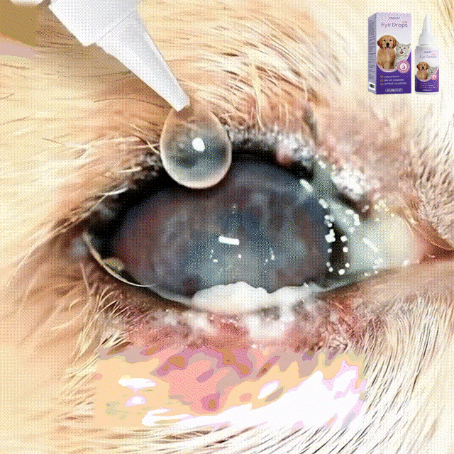 🎁Celebrate 2026 with our biggest pet care sale! YAGOO® PetNano Eye Drops